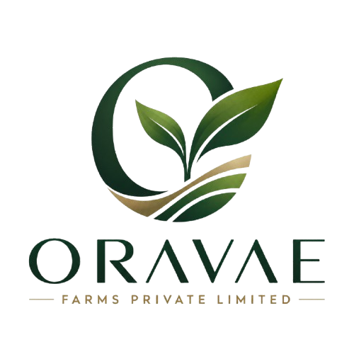 Fresh Microgreens in Hyderabad | ORAVAE FRESH
